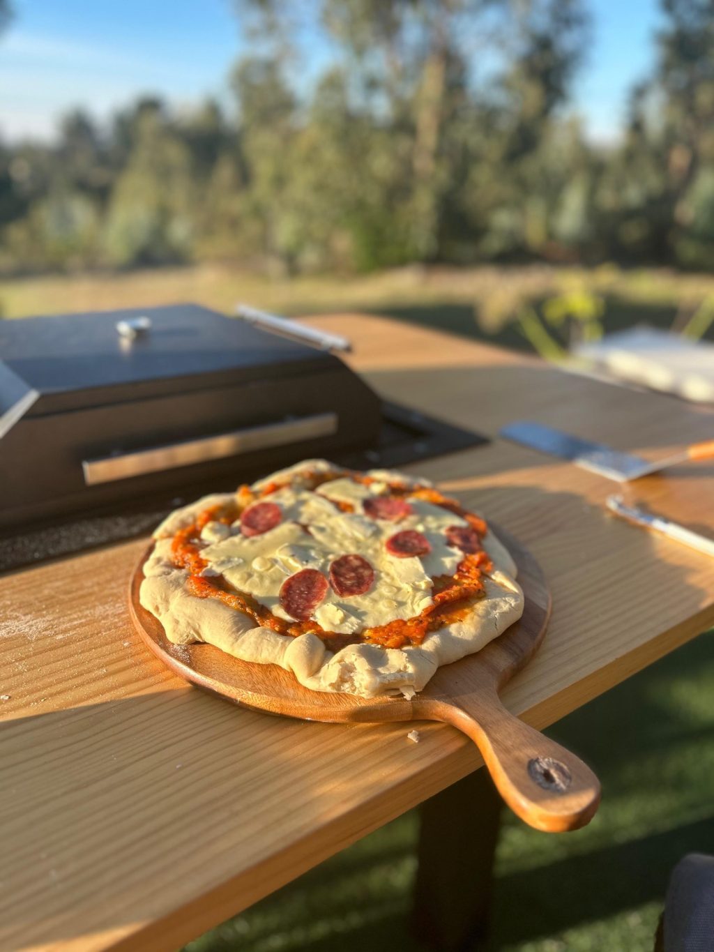 CANAK Horno Pizzero - Imagen 2