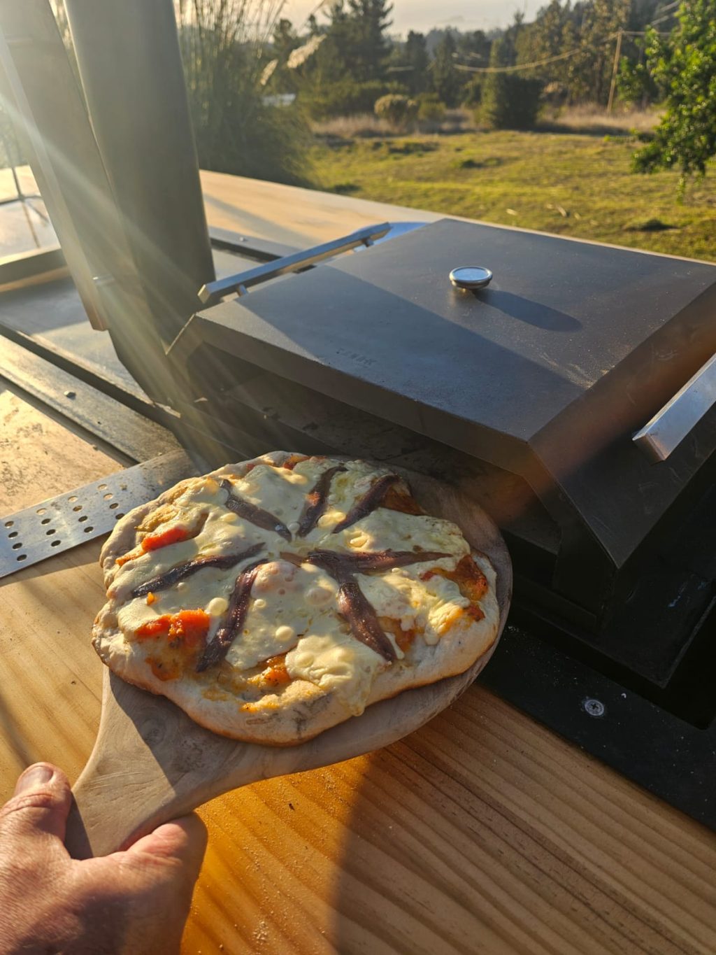 CANAK Horno Pizzero